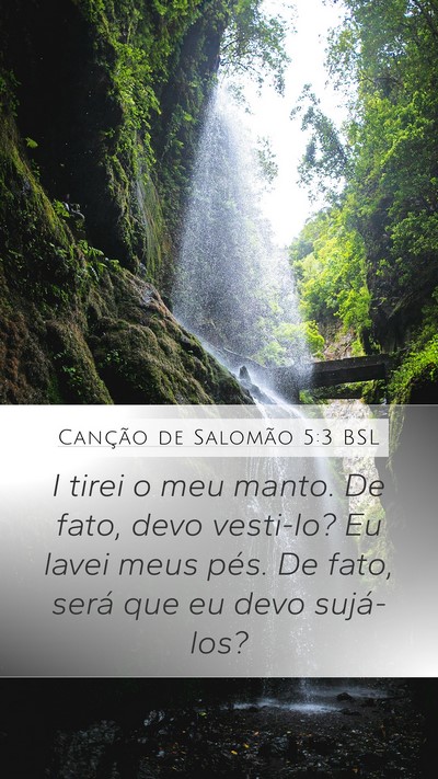 Canção de Salomão 5:3 BSL Mobile Phone Wallpaper - I tirei o meu manto. De fato, devo vesti-lo? Eu - Mobile Bible Verse Wallpaper