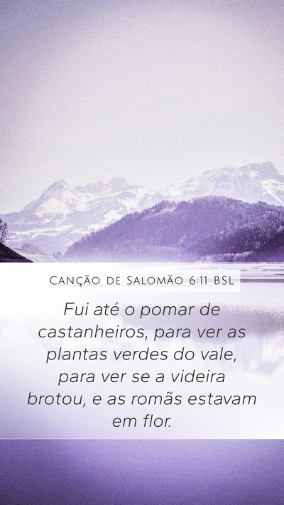 Canção de Salomão 6:11 BSL Bible Verse Image