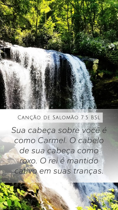 Canção de Salomão 7:5 BSL Bible Verse Image
