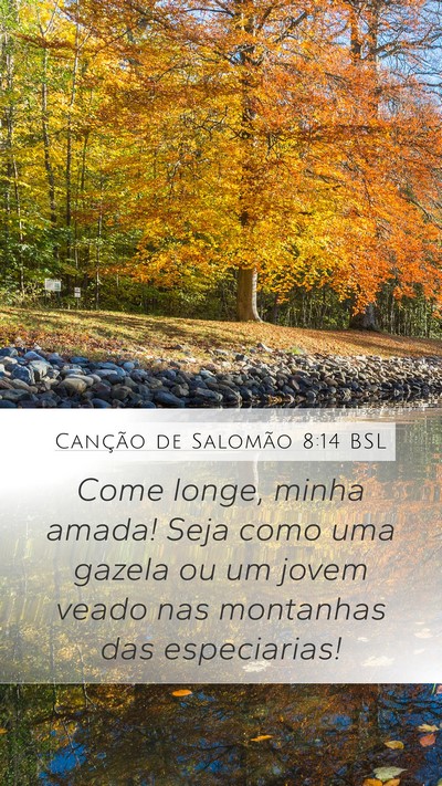 Canção de Salomão 8:14 BSL Bible Verse Image