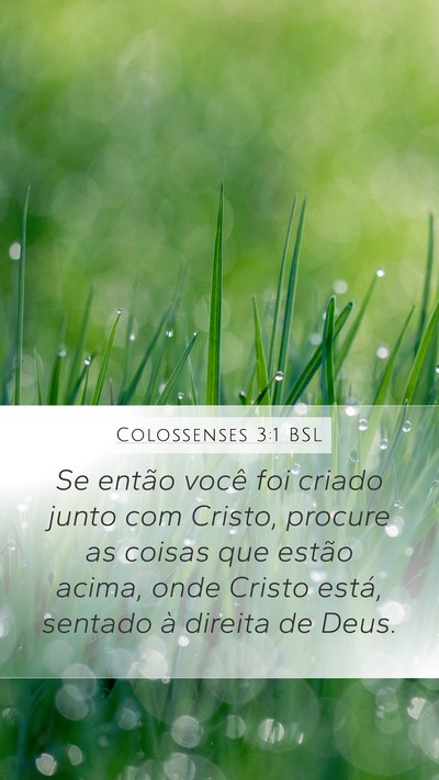 Colossenses 3:1 BSL Mobile Phone Wallpaper - Se então você foi criado junto com Cristo, - Mobile Bible Verse Wallpaper