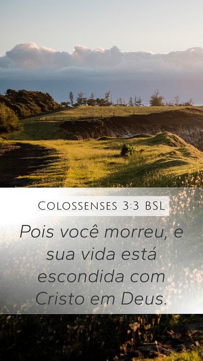 Colossenses 3:3 BSL Bible Verse Image