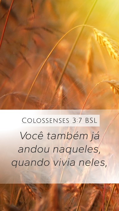 Colossenses 3:7 BSL Mobile Phone Wallpaper - Você também já andou naqueles, quando vivia - Mobile Bible Verse Wallpaper