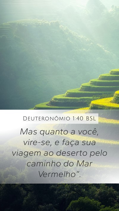 Deuteronômio 1:40 BSL Bible Verse Image