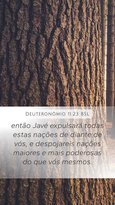 Deuteronômio 11:23 BSL Bible Verse Image