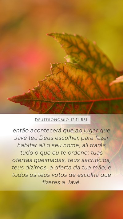 Deuteronômio 12:11 BSL Bible Verse Image