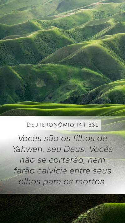 Deuteronômio 14:1 BSL Bible Verse Image