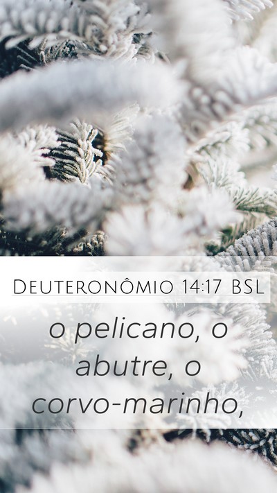 Deuteronômio 14:17 BSL Mobile Phone Wallpaper - o pelicano, o abutre, o - Mobile Bible Verse Wallpaper
