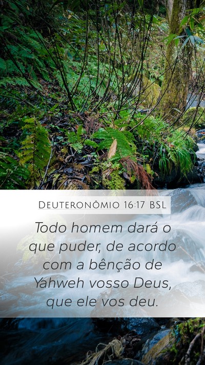 Deuteronômio 16:17 BSL Mobile Phone Wallpaper - Todo homem dará o que puder, de acordo com a - Mobile Bible Verse Wallpaper