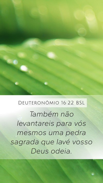 Deuteronômio 16:22 BSL Bible Verse Image