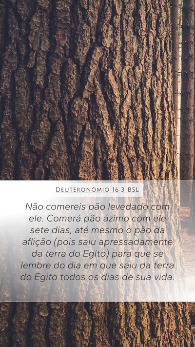 Deuteronômio 16:3 BSL Bible Verse Image