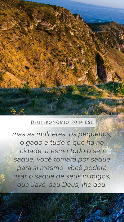 Deuteronômio 20:14 BSL Bible Verse Image