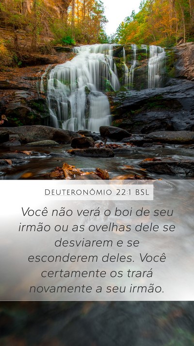 Deuteronômio 22:1 BSL Bible Verse Image