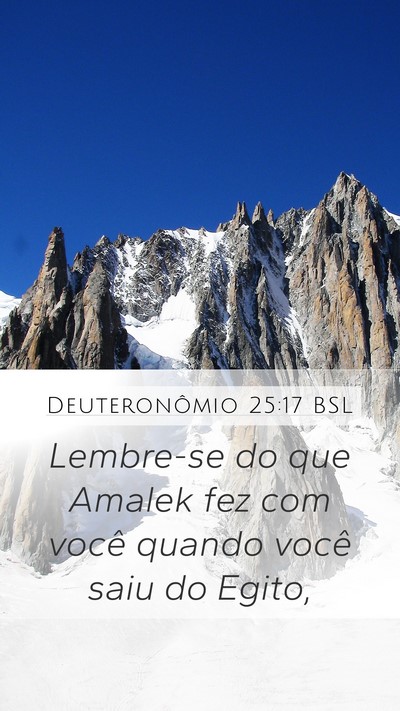 Deuteronômio 25:17 BSL Bible Verse Image