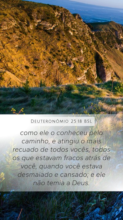 Deuteronômio 25:18 BSL Bible Verse Image