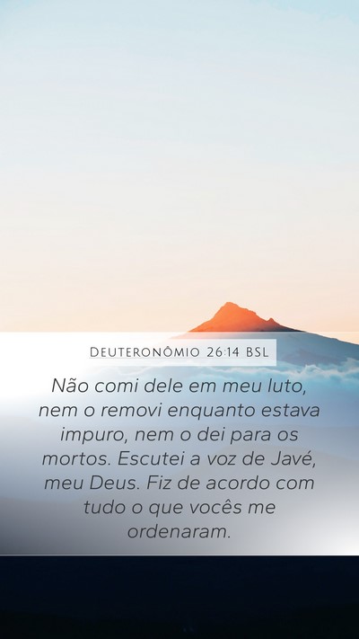 Deuteronômio 26:14 BSL Bible Verse Image