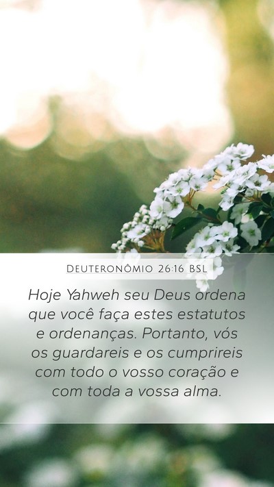 Deuteronômio 26:16 BSL Bible Verse Image