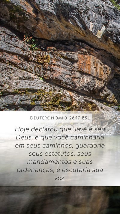 Deuteronômio 26:17 BSL Bible Verse Image