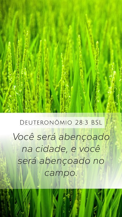 Deuteronômio 28:3 BSL Bible Verse Image