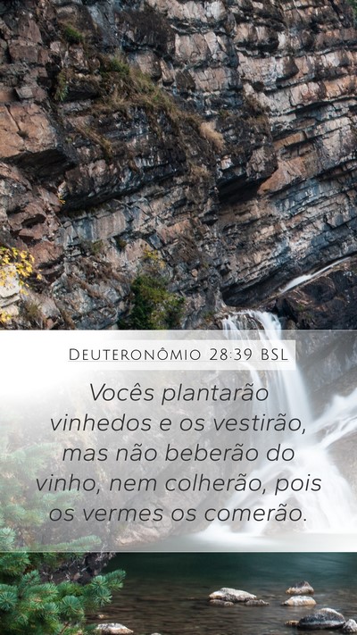Deuteronômio 28:39 BSL Bible Verse Image