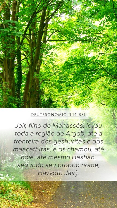 Deuteronômio 3:14 BSL Bible Verse Image