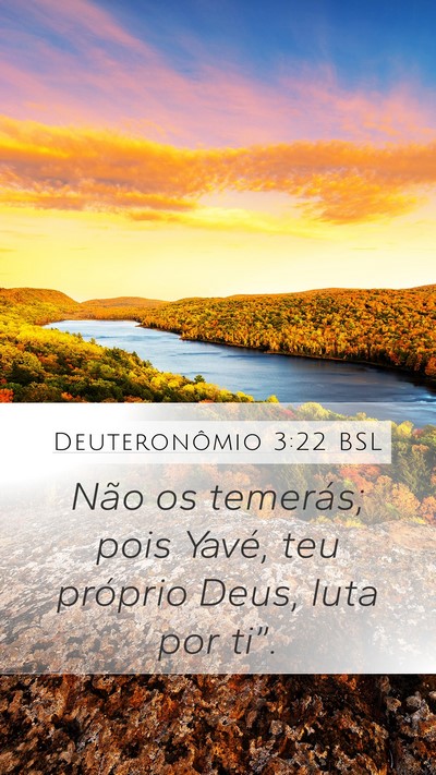 Deuteronômio 3:22 BSL Bible Verse Image