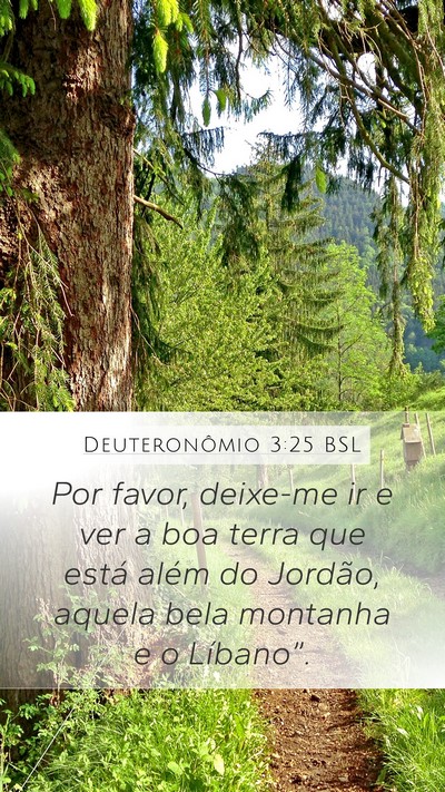 Deuteronômio 3:25 BSL Bible Verse Image