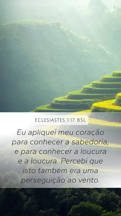 Eclesiastes 1:17 BSL Bible Verse Image