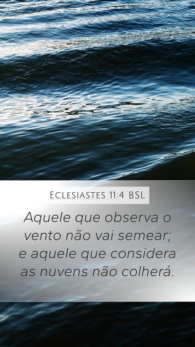 Eclesiastes 11:4 BSL Bible Verse Image