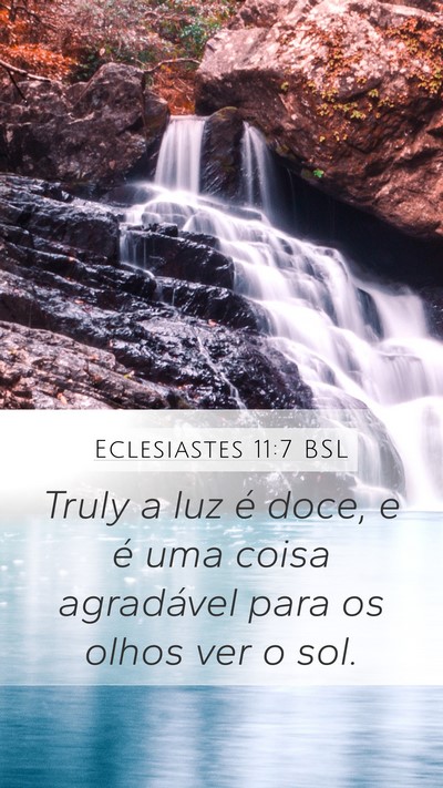 Eclesiastes 11:7 BSL Bible Verse Image