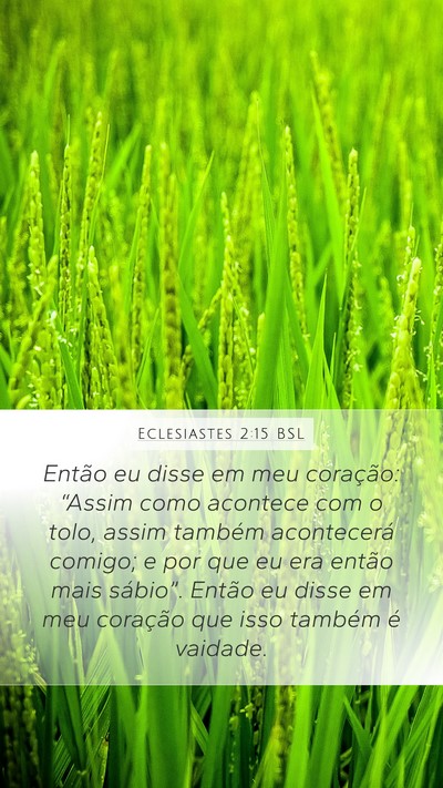 Eclesiastes 2:15 BSL Bible Verse Image