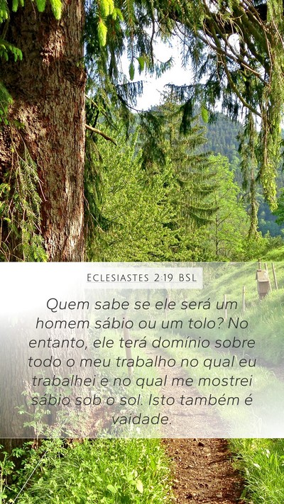 Eclesiastes 2:19 BSL Bible Verse Image