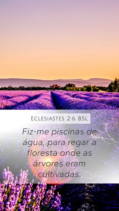 Eclesiastes 2:6 BSL Bible Verse Image