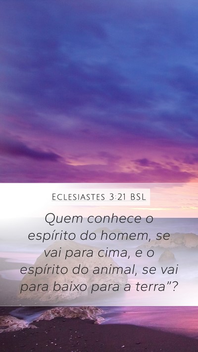 Eclesiastes 3:21 BSL Bible Verse Image