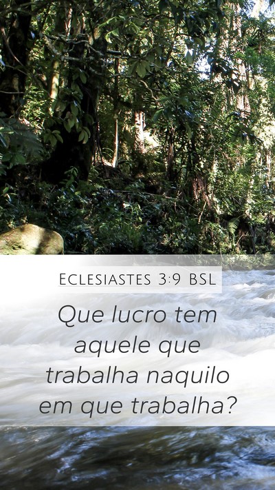 Eclesiastes 3:9 BSL Bible Verse Image