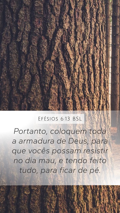 Efésios 6:13 BSL Mobile Phone Wallpaper - Portanto, coloquem toda a armadura de Deus, para - Mobile Bible Verse Wallpaper