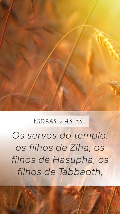 Esdras 2:43 BSL Bible Verse Image