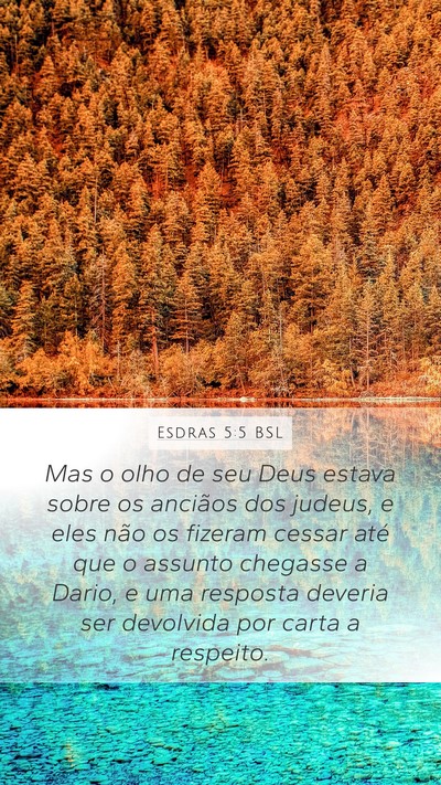 Esdras 5:5 BSL Bible Verse Image