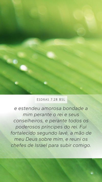 Esdras 7:28 BSL Bible Verse Image