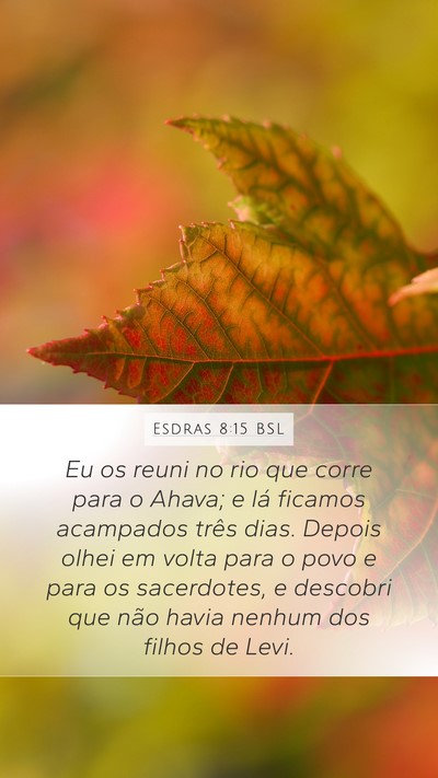 Esdras 8:15 BSL Bible Verse Image
