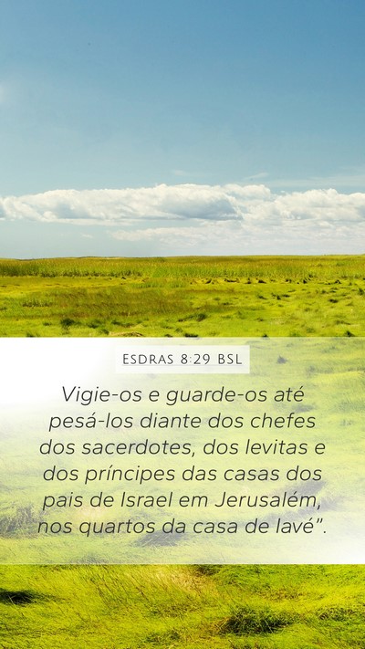 Esdras 8:29 BSL Bible Verse Image