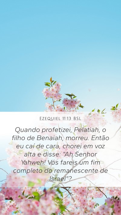 Ezequiel 11:13 BSL Bible Verse Image