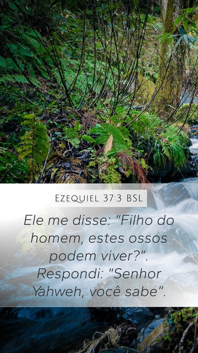 Ezequiel 37:3 BSL Bible Verse Image