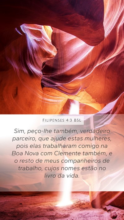 Filipenses 4:3 BSL Bible Verse Image