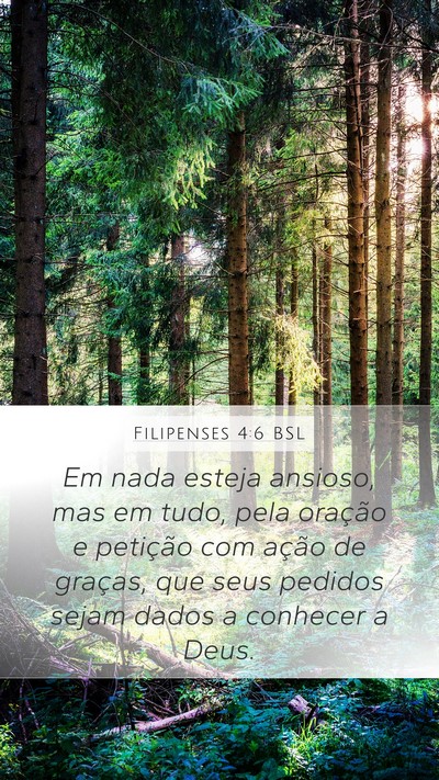 Filipenses 4:6 BSL Bible Verse Image