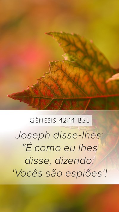 Gênesis 42:14 BSL Bible Verse Image