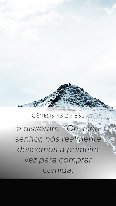 Gênesis 43:20 BSL Bible Verse Image