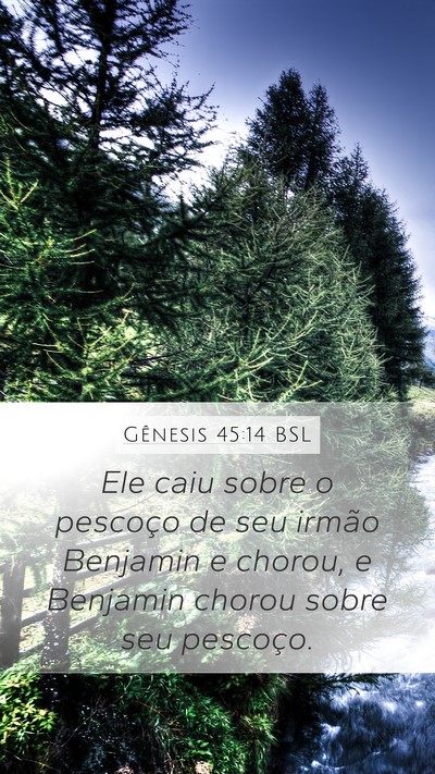 Gênesis 45:14 BSL Bible Verse Image