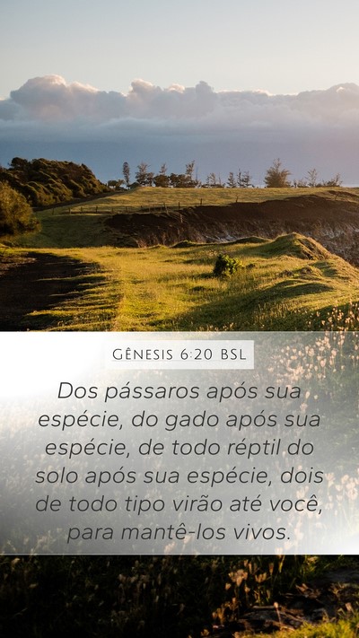 Gênesis 6:20 BSL Bible Verse Image