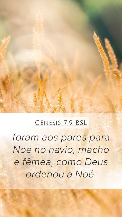 Gênesis 7:9 BSL Mobile Phone Wallpaper - foram aos pares para Noé no navio, macho e - Mobile Bible Verse Wallpaper